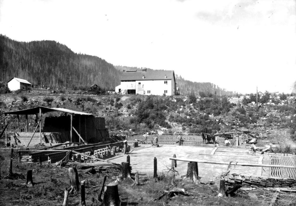MillingtonBrothers, Kaslo 1900